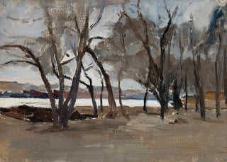 Jan Cigliski - Winter landscape park on the Petrovsky Island.webp
