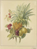 Ananas, ploomia ja vadelmia - Jan Evert Morel — näkymä teoksesta