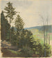 Scrub Hill - Jan Nowopack — näkymä teoksesta