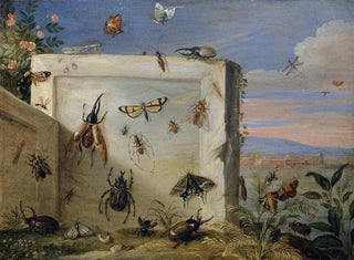 Insectes sur une dalle de pierre - Jan van Kessel l'Ancien — näkymä teoksesta