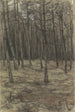 Metsäinen maisema - Jan Veth — näkymä teoksesta