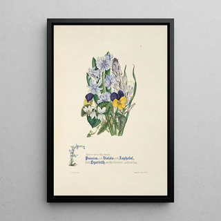 Jane Elizabeth Giraud - Pansies violets asphodel and hyacinth.webp