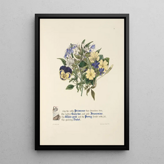 Jane Elizabeth Giraud - Primrose GrowtoeJessamine Whitepink Pansy and Violet.webp