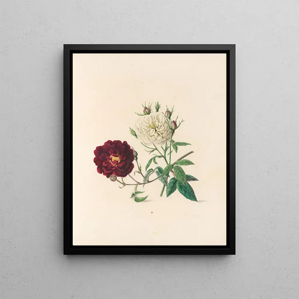 Jane Elizabeth Giraud - The fte of the flowers Pl04.webp