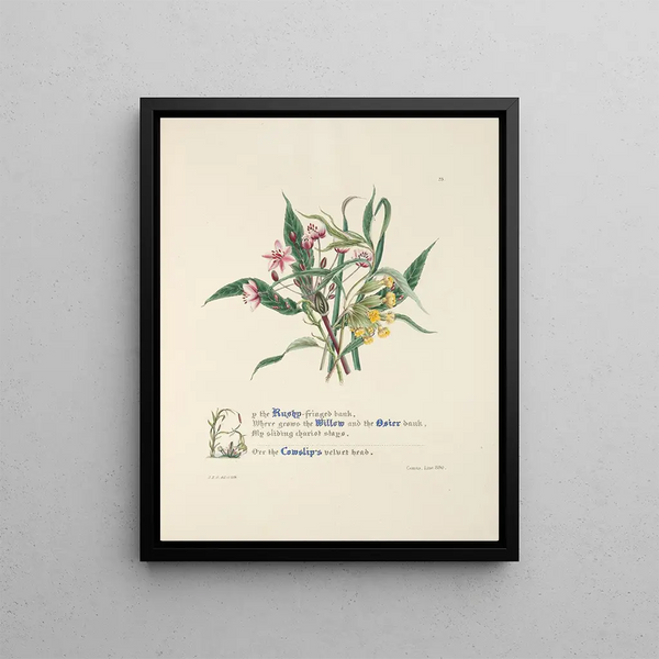 Jane Elizabeth Giraud - Up the Rushyfringed bank.webp