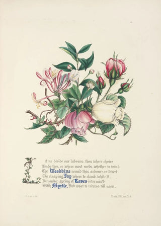 Jane Elizabeth Giraud - Woodbine ivy roses and myrtle.webp