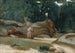 Bûcherons - Jean-Baptiste-Camille Corot — näkymä teoksesta