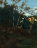 Bosquet d’arbres parmi les rochers, Civita Castellana - Jean - Baptiste Camille Corot — näkymä teoksesta