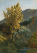 Puun tutkimus puron varrella Italiassa - Jean-Baptiste-Camille Corot — näkymä teoksesta