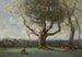 Suuri puu, Gournayn ympäristöstä - Jean-Baptiste-Camille Corot — näkymä teoksesta