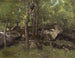 Rochers dans la forêt de Fontainebleau - Jean-Baptiste-Camille Corot — näkymä teoksesta