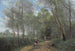Ville d'Avray -kaupungin maalaus, ratsastaja metsän sisäänkäynnissä - Jean-Baptiste-Camille Corot — näkymä teoksesta
