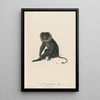 JeanBaptiste Audebert - LOuanderou.webp