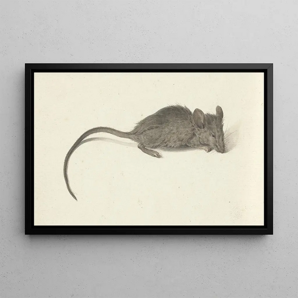 Jean Bernard - Muis naar rechts.webp