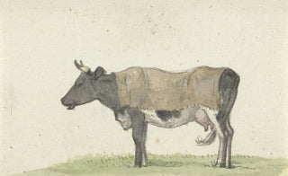 Jean Bernard - Staande koe met deken naar links.webp