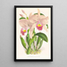 Cattleya Trianae - Jean Jules Linden — kehystetty taideteos seinällä
