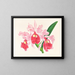 Cattleya gigas - Jean Jules Linden — kehystetty taideteos seinällä