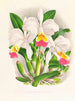 Cattleya kimballiana - Jean Jules Linden — näkymä teoksesta