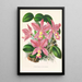 Cattleya nobilior - Jean Jules Linden — kehystetty taideteos seinällä