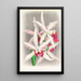 Laelia elegans - Jean Jules Linden — kehystetty taideteos seinällä