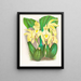 Lycaste costata - Jean Jules Linden — kehystetty taideteos seinällä