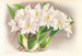 Odontoglossum alexandrae - Jean Jules Linden — näkymä teoksesta