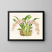 Odontoglossum lucianianum - Jean Jules Linden — kehystetty taideteos seinällä
