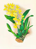 Oncidium concolor - Jean Jules Linden — näkymä teoksesta