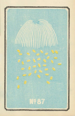 Jinta Hirayama - Illustrated Catalogue of Daylight Bomb Shells No 87.webp