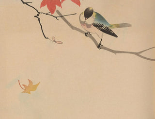 Jiro Takeuchi - Hogajo Pl09.webp