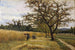 Moisson-maalaus - Joaquim Vayreda — näkymä teoksesta