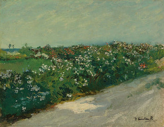 Plage de la Malvarrosa - Joaquín Sorolla — näkymä teoksesta