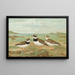 Charadrius hiaticula - Johann Friedrich Naumann — kehystetty taideteos seinällä