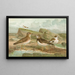 Johann Friedrich Naumannin Charadrius morinellus Arenaria interpres Charadrius alexandrinus - Maalaus — kehystetty taideteos seinällä