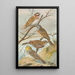 Emberiza leucocephala Gmel Emberiza cia Emberiza cinerea Strickl - Johann Friedrich Naumann — kehystetty taideteos seinällä
