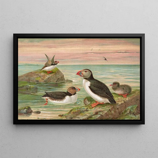 Johann Friedrich Naumann - Fratercula arctica L Arktischer Lund.webp