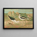 Himantopus himantopus Recurvirostra avocetta - Johann Friedrich Naumann — kehystetty taideteos seinällä