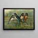 Hirundo rustica Hirundo rustica Savignii - Johann Friedrich Naumann — kehystetty taideteos seinällä