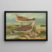 Larus canus Larus argentatus Brunn - Johann Friedrich Naumann — kehystetty taideteos seinällä