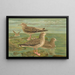 Larus fuscus Larus marinus Larus glaucus Maalaus Brünn - Johann Friedrich Naumann — kehystetty taideteos seinällä