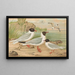 Larus minutus Pall, Larus ridibundus, Larus melanocephalus, Natt, Larus minutus Pall - Johann Friedrich Naumann — kehystetty taideteos seinällä