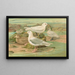 Pagophila eburnea, Phipps, Larus leucopterus, Faber - Johann Friedrich Naumann — kehystetty taideteos seinällä