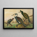Johann Friedrich Naumannin Phalacrocorax carbo, Phalacrocorax graculus, Phalacrocorax pygmaeus — kehystetty taideteos seinällä
