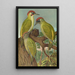 Picus viridis - Johann Friedrich Naumann — kehystetty taideteos seinällä
