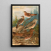 Turdus Naumanni - Johann Friedrich Naumann — kehystetty taideteos seinällä
