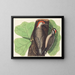 Le Pic à ventre rouge - Johann Michael Seligmann — kehystetty taideteos seinällä