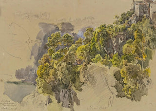 Johann Nepomuk Rauch - Felsabhang mit Bumen bei Nemi.webp