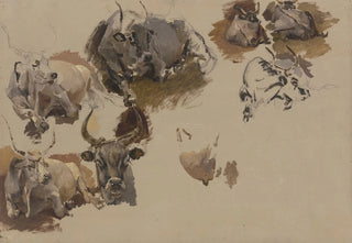 Johann Nepomuk Rauch - Rinder auf dem Campo Vaccino in Rom.webp