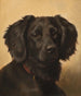 Setter noir - Johannes Christian Deiker — näkymä teoksesta