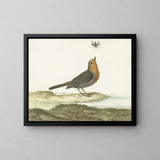 Johannes van Bronckhorst - Roodborstje.webp